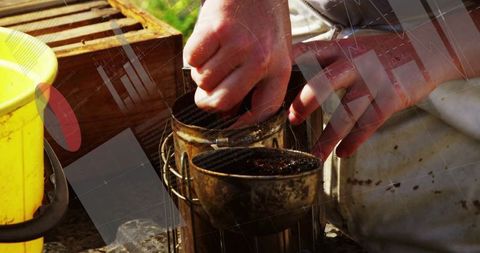 Beekeeper skillfully preparing metal bee smokers at apiary