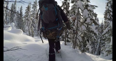 Hiker Navigating Snowy Forest for Winter Adventure - Download Free Stock Images Pikwizard.com
