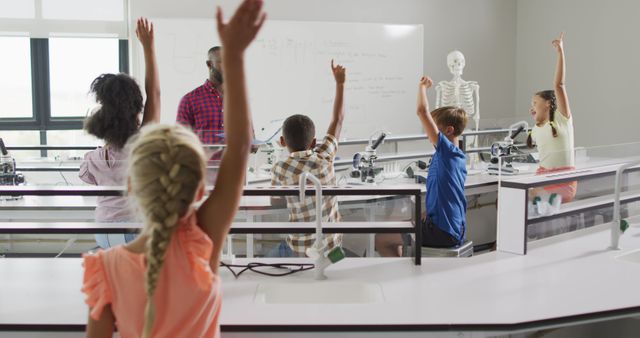 Enthusiastic Schoolchildren in Science Classroom Participating - Download Free Stock Images Pikwizard.com