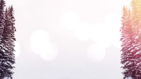 Snowy Winter Landscape with Fir Trees and Amber Bokeh Lights