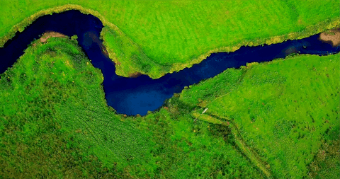 transparent river curves through lush green landscape, aerial view - Download Free Stock Videos Pikwizard.com