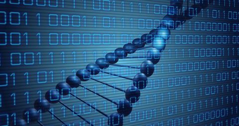 dna strand rotating over binary code in digital space - Download Free Stock Images Pikwizard.com