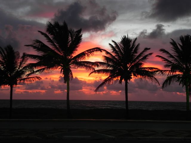 A stunning scene of palm trees silhouetted against a vibrant, fiery sunset over the ocean. Dark clouds add drama to the colorful sky, creating a breathtaking tropical view perfect for travel brochures, beach resort advertisements, and background imagery for relaxing themes. This image evokes feelings of relaxation, tropical vacations, and the beauty of nature.