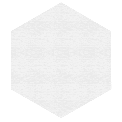 Hexagonal white shape on transparent background for design use