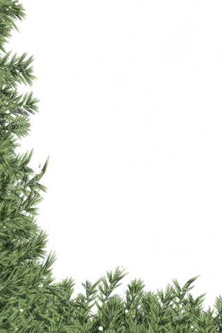 fir tree branches with snow falling on transparent background - Download Free Stock Videos Pikwizard.com