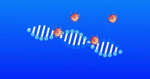 COVID-19 Cells Interacting with DNA Strand Animation