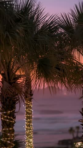 Palms Swaying at Sunset with Glowing String Lights and Rolling Ocean Waves