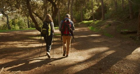 Active Senior Couple Hiking Through Forest Trail - Download Free Stock Images Pikwizard.com