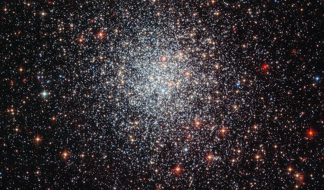 Image shows globular cluster NGC 1783 in the Large Magellanic Cloud captured by the Hubble Space Telescope’s Advanced Camera for Surveys. This cluster, nearly 160,000 light-years from Earth, displays a dense, symmetrical collection of stars typical of globular clusters. It is thought to be less than one and a half billion years old, undergoing at least two periods of star formation. This picture can be used in educational materials about astronomy, for space and science articles, or as an intriguing visual for presentations on astronomical phenomena and galactic structures.