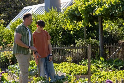 Father and teen son trimming leafy greens in sunlit backyard raised-bed vegetable garden