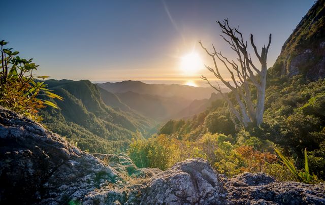 Majestic Mountain Landscape with Vibrant Sunrise - Download Free Stock Photos Pikwizard.com