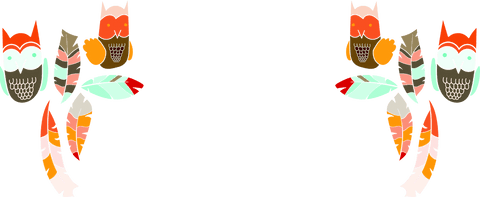 Cute owls and feathers transparent background