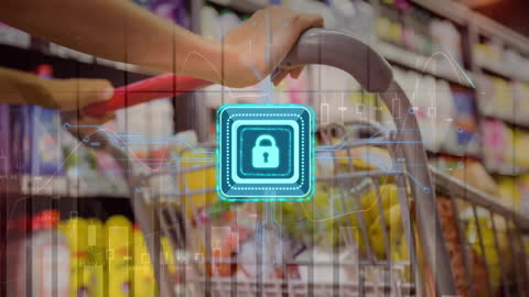 Digital Security in Retail Shopping Environment