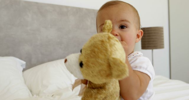 Adorable Baby Playing with Stuffed Bear in Bed - Download Free Stock Images Pikwizard.com