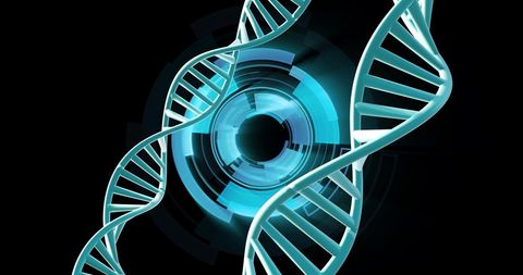 Digital Representation of DNA Strands on Deep Tech Background - Download Free Stock Images Pikwizard.com