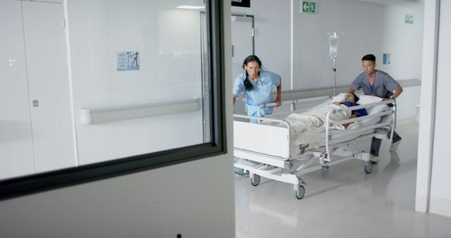 Medical Team Moving Patient in Hospital Corridor - Download Free Stock Images Pikwizard.com