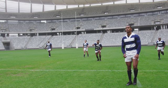 Rugby Team Practicing on Professional Stadium Field - Download Free Stock Images Pikwizard.com