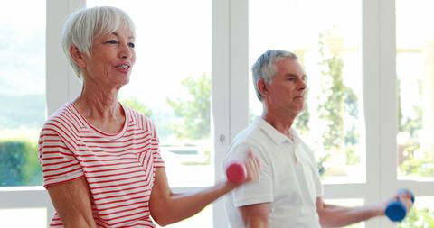 senior couple exercising with small dumbbells in bright room - Download Free Stock Images Pikwizard.com