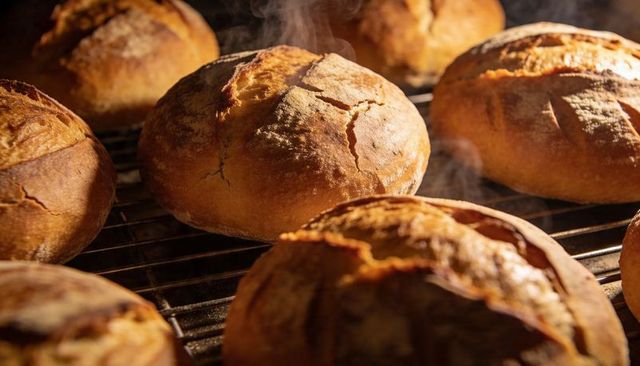 Rustic artisan sourdough boules steaming on metal rack with golden crackled crust
