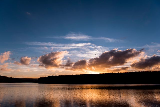 View of a tranquil lake at sunset with a scenic sky filled with soft clouds. A few birds are flying in the sky, creating a peaceful and serene ambiance. This can be used for nature websites, travel blogs, meditation apps, or any projects that require a calming and scenic background.