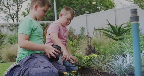 Children gardening: boys planting together in backyard during summer