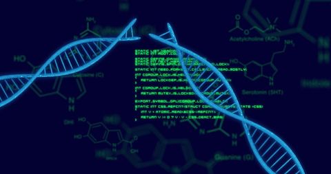 Intersection of Genetic Coding and Digital Data Innovations - Download Free Stock Images Pikwizard.com