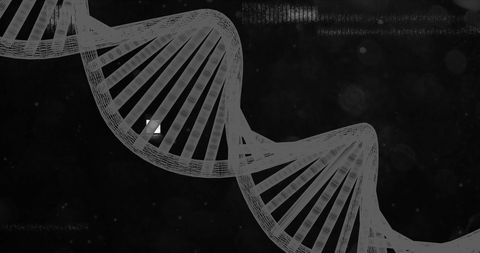 Digital DNA Strand on Black Background Illuminates Genetics