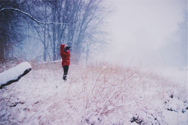 Person standing in snow-covered field wearing red coat, creating visual contrast against winter backdrop. Perfect for themes of solitude, winter activities, peaceful nature scenes, travel brochures, and seasonal greetings.