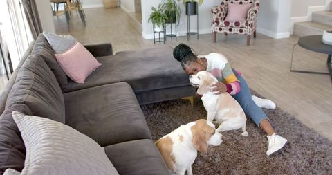Smiling Woman Bonding with Dogs in Cozy Living Room