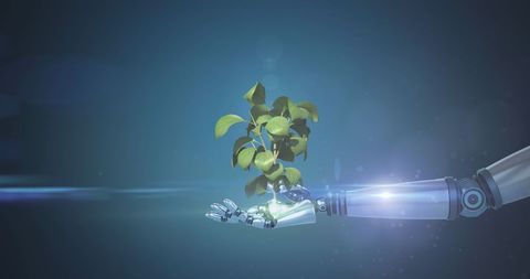 Robotic Hand Holding Plant Symbolizing Innovation and Nature Harmony - Download Free Stock Images Pikwizard.com