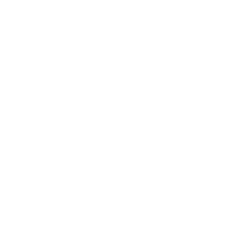 transparent outline of flute glass isolated on transparent background - Download Free Stock Videos Pikwizard.com