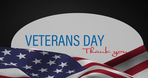 Veterans Day Appreciation with Waving USA Flag