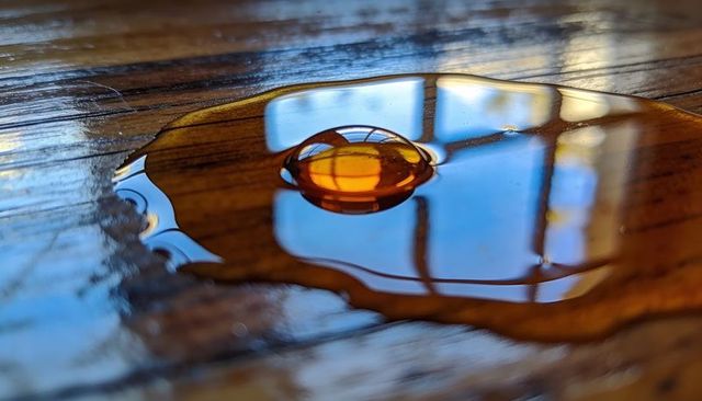 Amber droplet reflecting window grid on glossy wood surface with blue sky glow