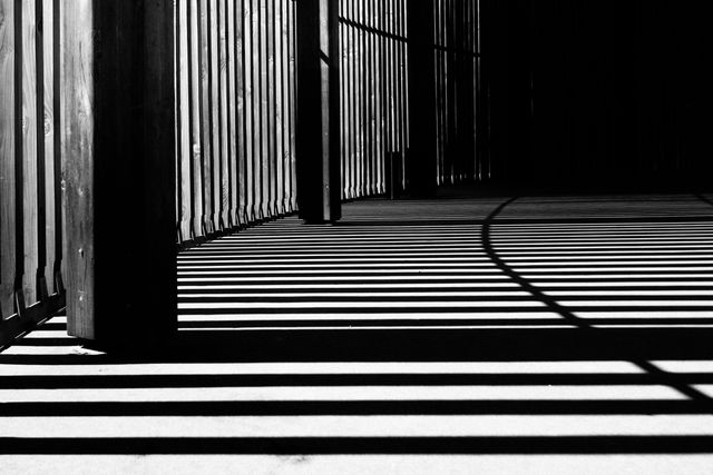 Sunlight Casting Shadows through Wooden Fence in Black and White - Download Free Stock Photos Pikwizard.com