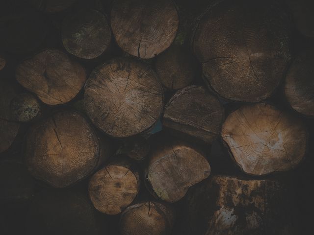 Stacked Wooden Logs in a Dark Forest - Download Free Stock Photos Pikwizard.com