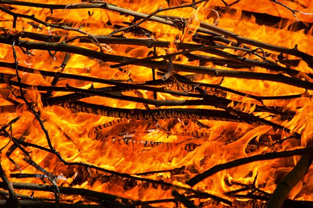Raging Bonfire with Vibrant Flames and Twigs - Download Free Stock Photos Pikwizard.com