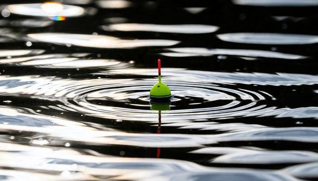 Floating chartreuse fishing bobber sending concentric ripples on dark reflective water