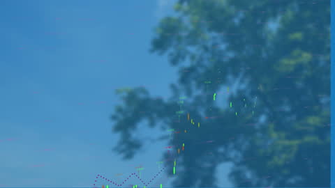 Dynamic Financial Graphs Overlaid on Bokeh Background