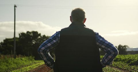 Senior man contemplating in sunrise field