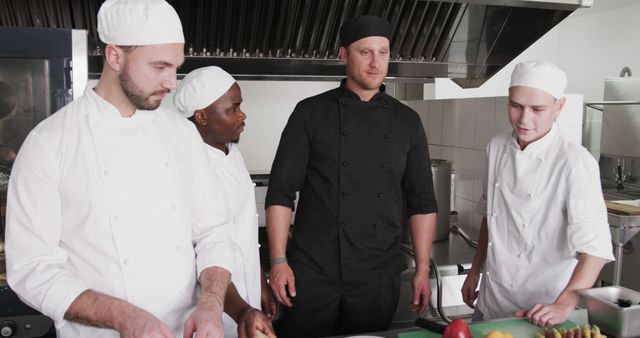 Professional chefs of diverse backgrounds collaborating in an industrial kitchen, standing around a counter with food items. Ideal for illustrating teamwork, culinary arts, professional environments, restaurant industry, and kitchen management.