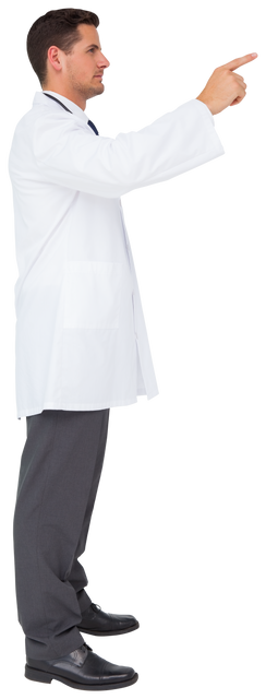 Caucasian Doctor Pointing on Transparent Background - Download Free Stock Videos Pikwizard.com