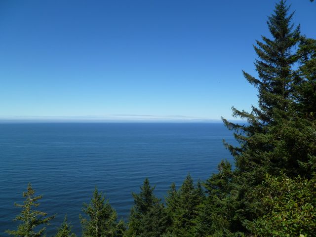 This photo shows a calm ocean under a clear blue sky with evergreen trees framing the scene. It is ideal for use in nature blogs, travel websites, environmental campaigns, or as a background image for presentations promoting tranquility and peace.
