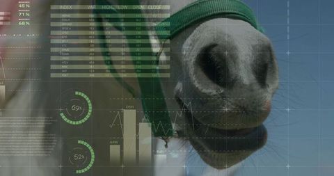 Horse muzzle with finance overlay illustrating equine data visualization