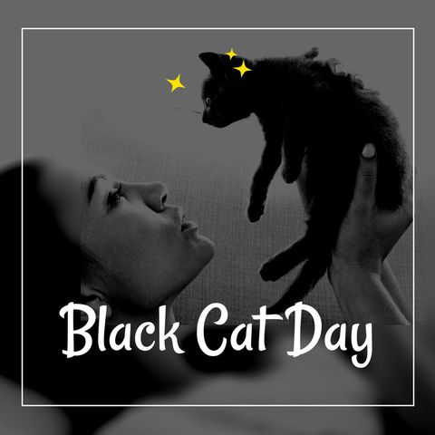 black cat day celebration with happy pet owner - Download Free Stock Templates Pikwizard.com
