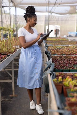 African american woman using tablet in greenhouse monitoring seedling trays