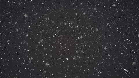 Mesmerizing Snowflakes and Starry Sprinkle on Black Canvas