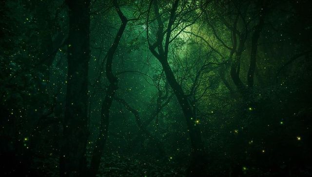 Glowing Fireflies Illuminating Enchanted Moonlit Forest, Twisted Trees and Misty Canopy
