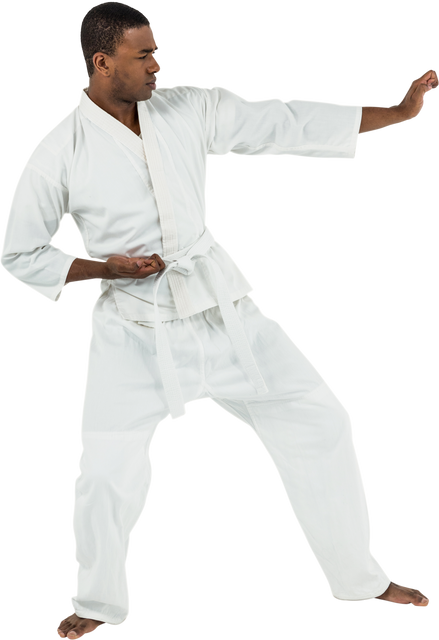 Martial Artist Practicing Karate Stance on Transparent Background - Download Free Stock Videos Pikwizard.com