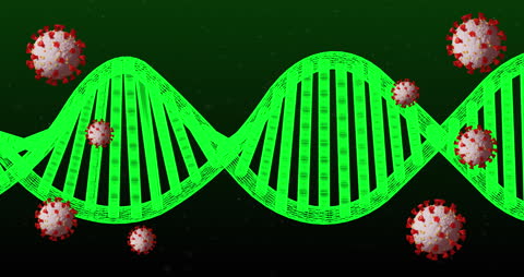 Animated DNA Strand with Moving Covid-19 Cells
