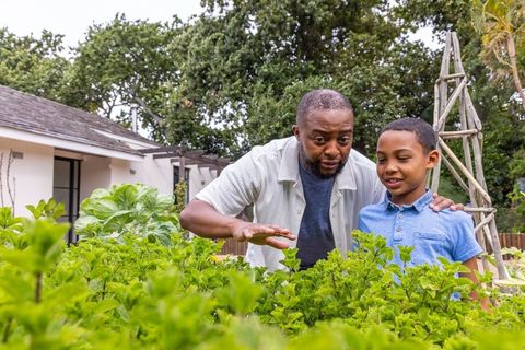 African american father teaching son gardening in lush suburban backyard bed